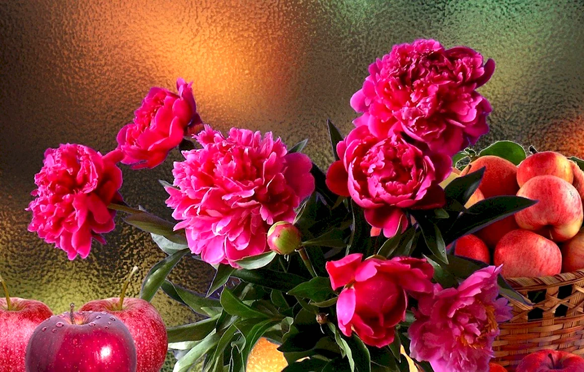 Пионы 8к