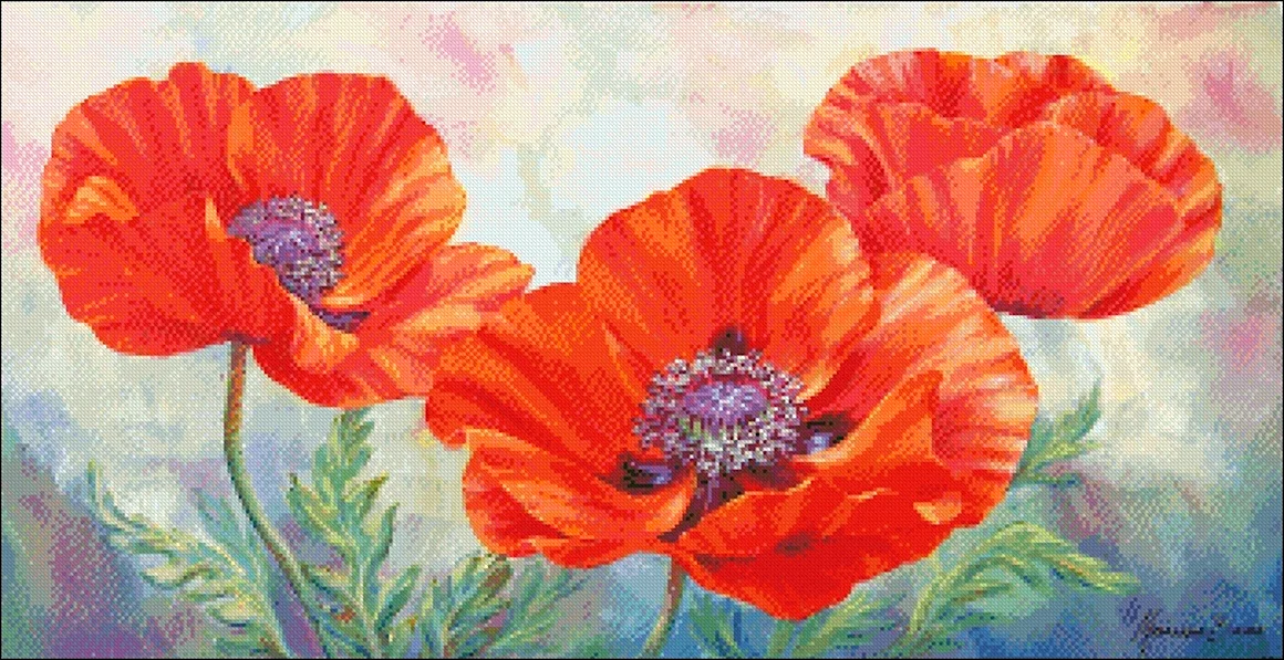Пионы Marianne Broome