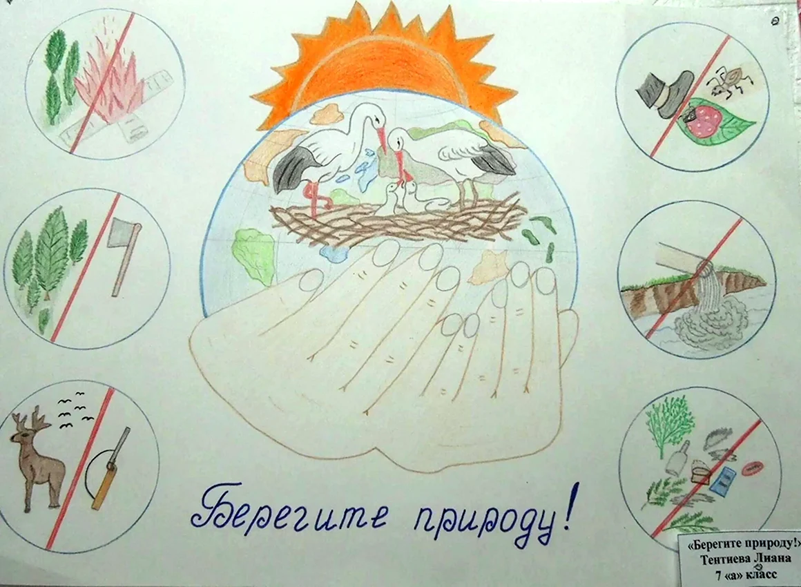 Плакат берегите природу