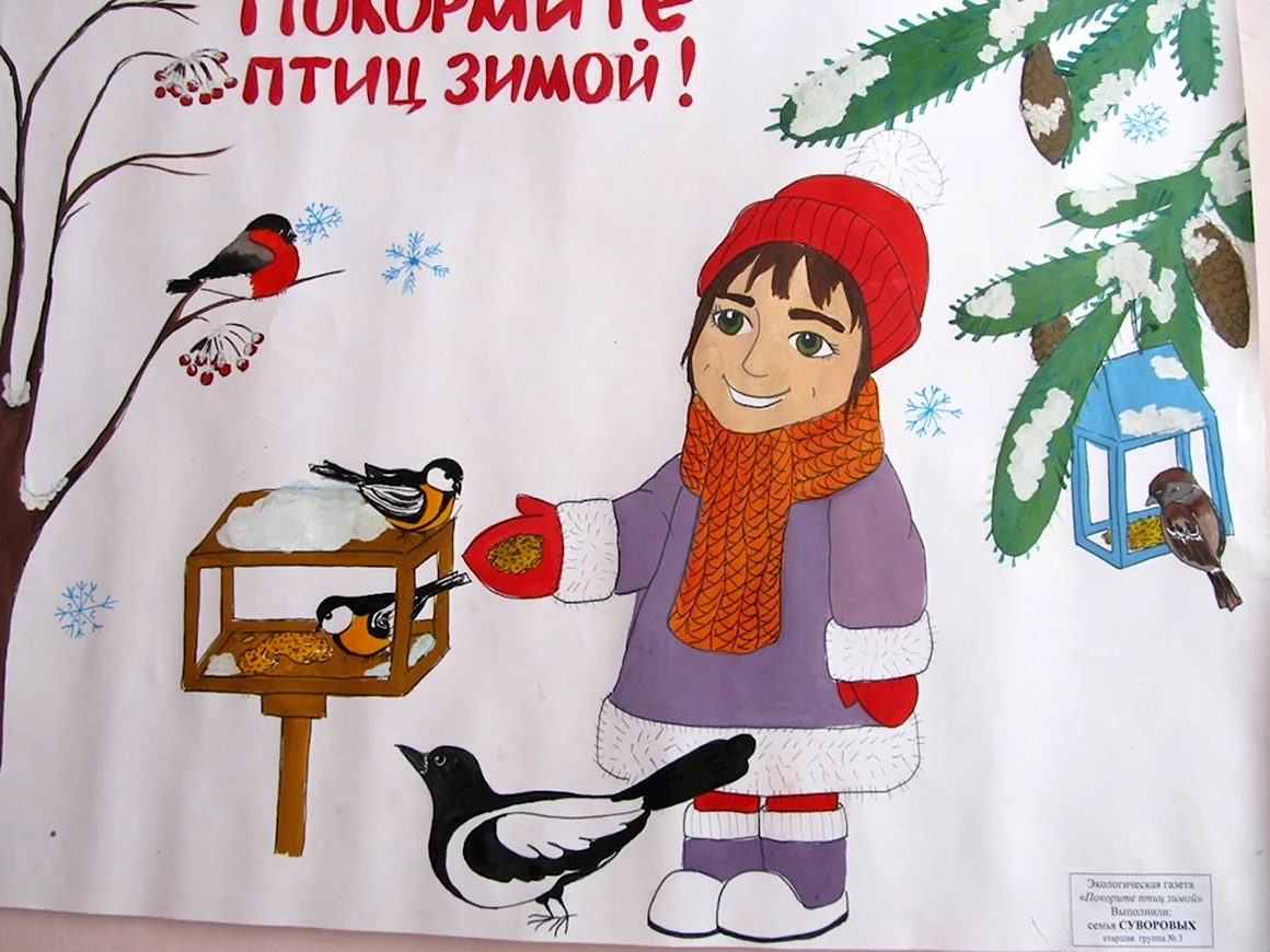 Плакат Покормите птиц зимой