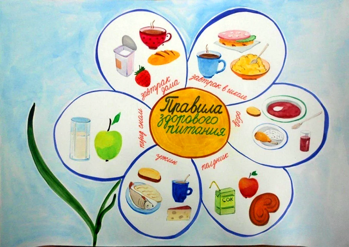 Плакат здоровое Питини