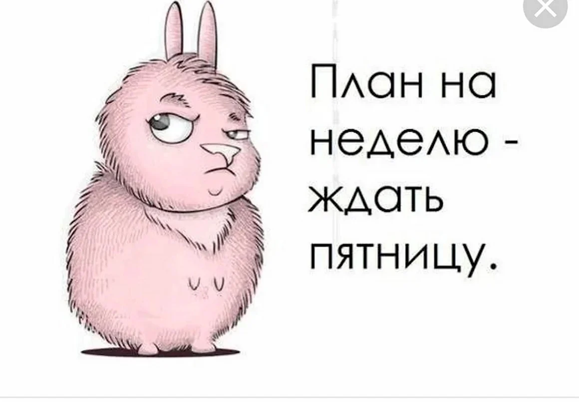План на неделю ждать пятницу