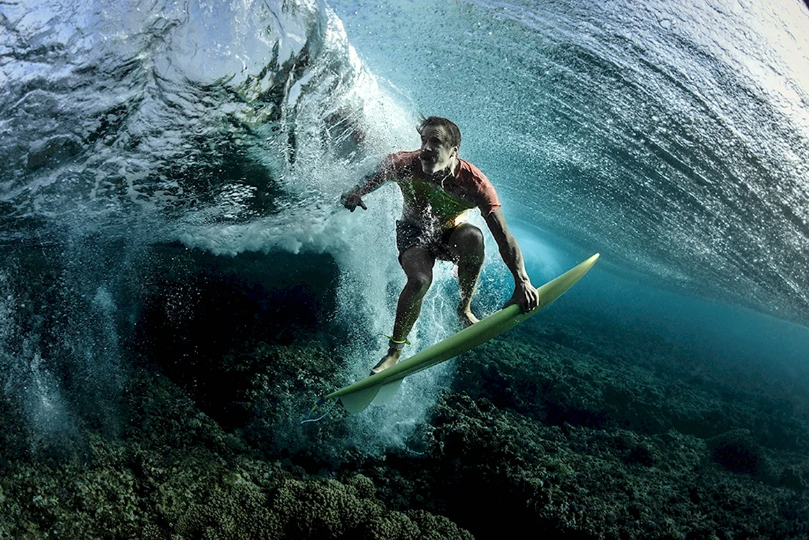 Победители фотоконкурса National Geographic