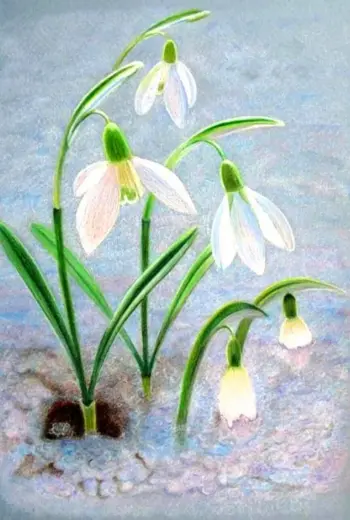 Подснежники рисунок