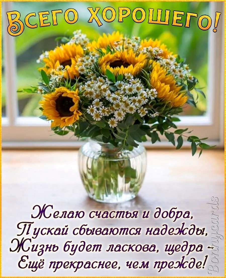 Подсолнухи и ромашки