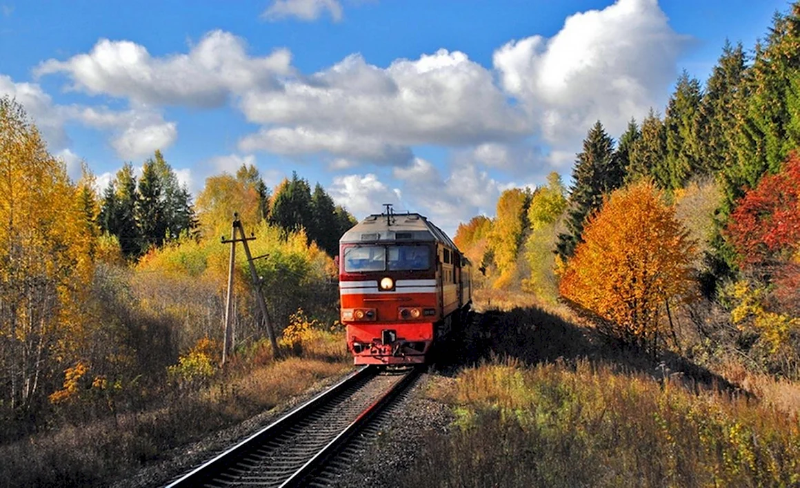 Поезд осень