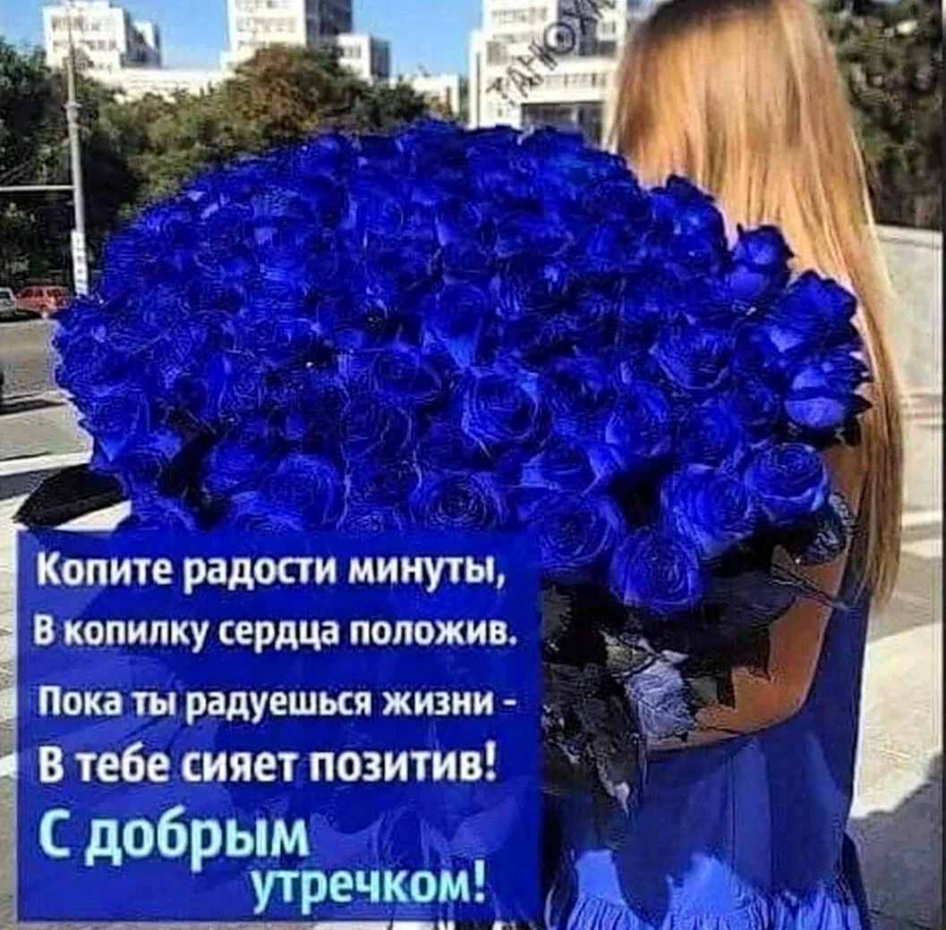 Пока ты радуешься жизни ты жив