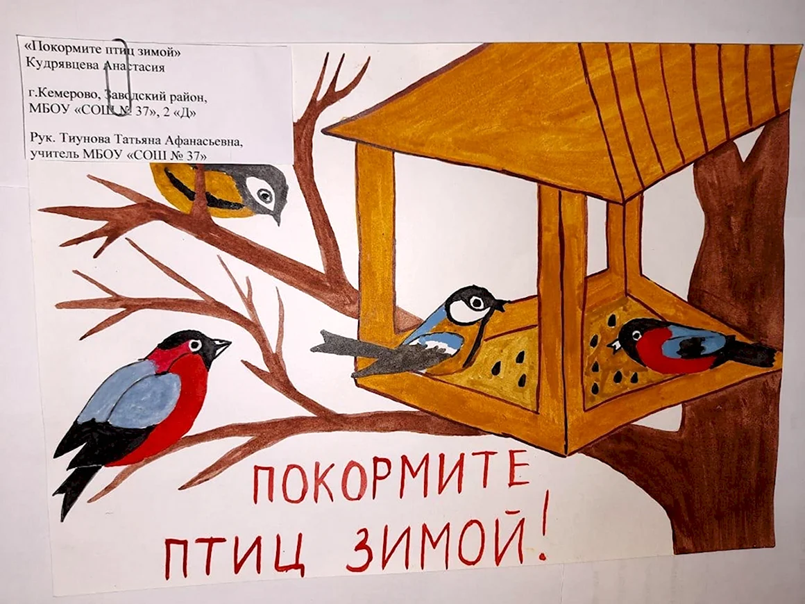 Покормите птиц зимой