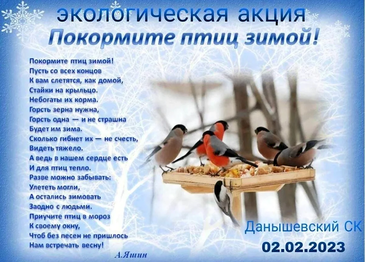 Покормите птиц зимой