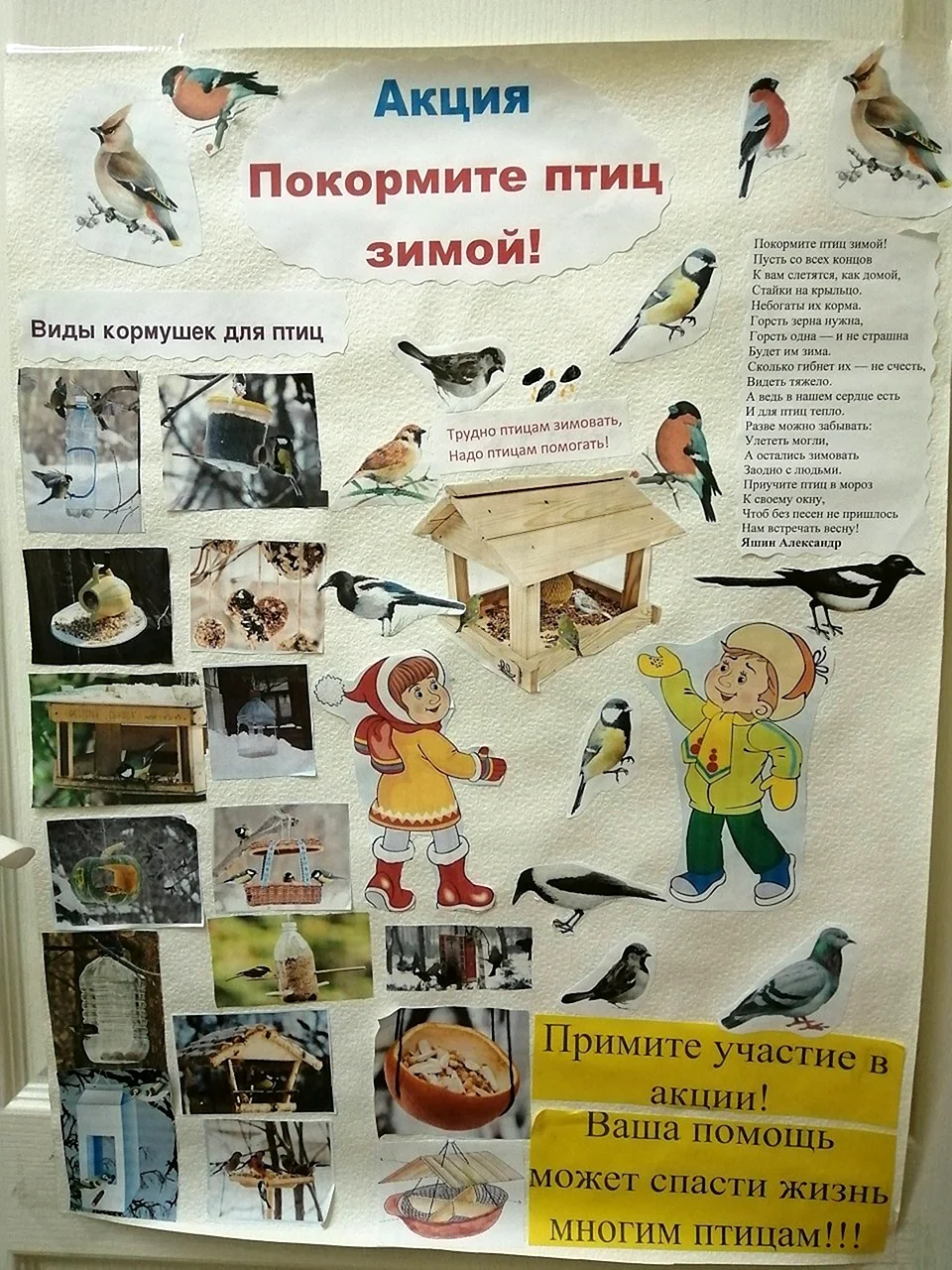 Покормите птиц зимой