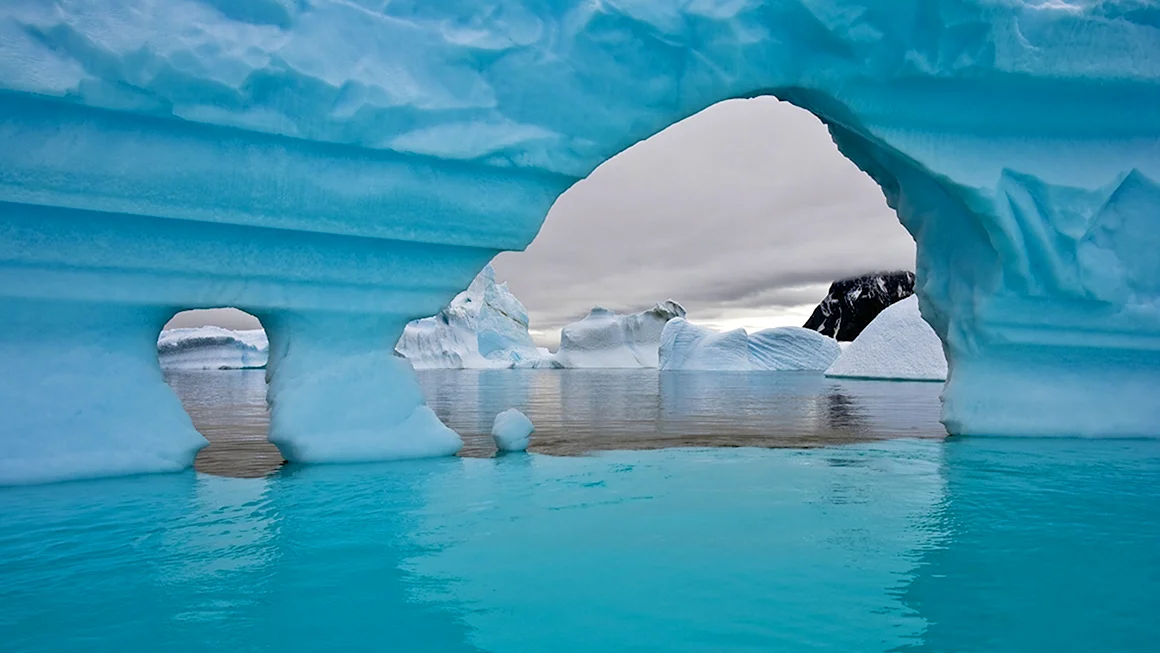 Polar Ice caps