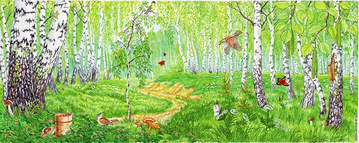 Полянка с березками Сказочная