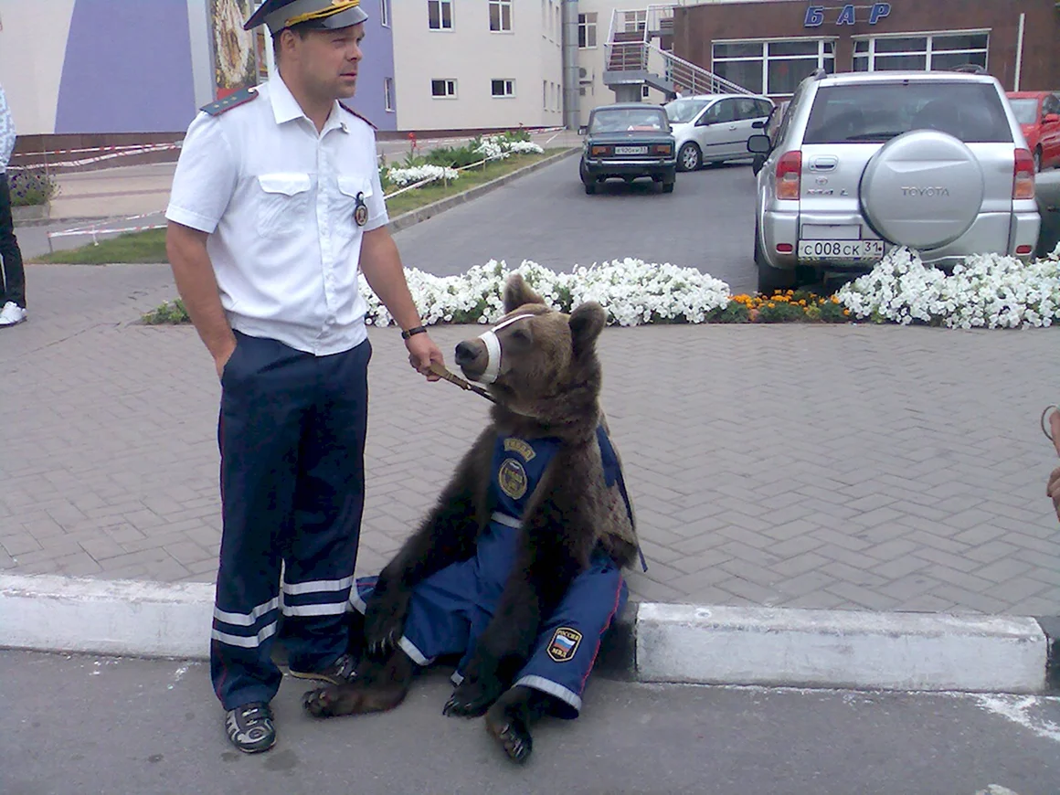 Полицейский прикол