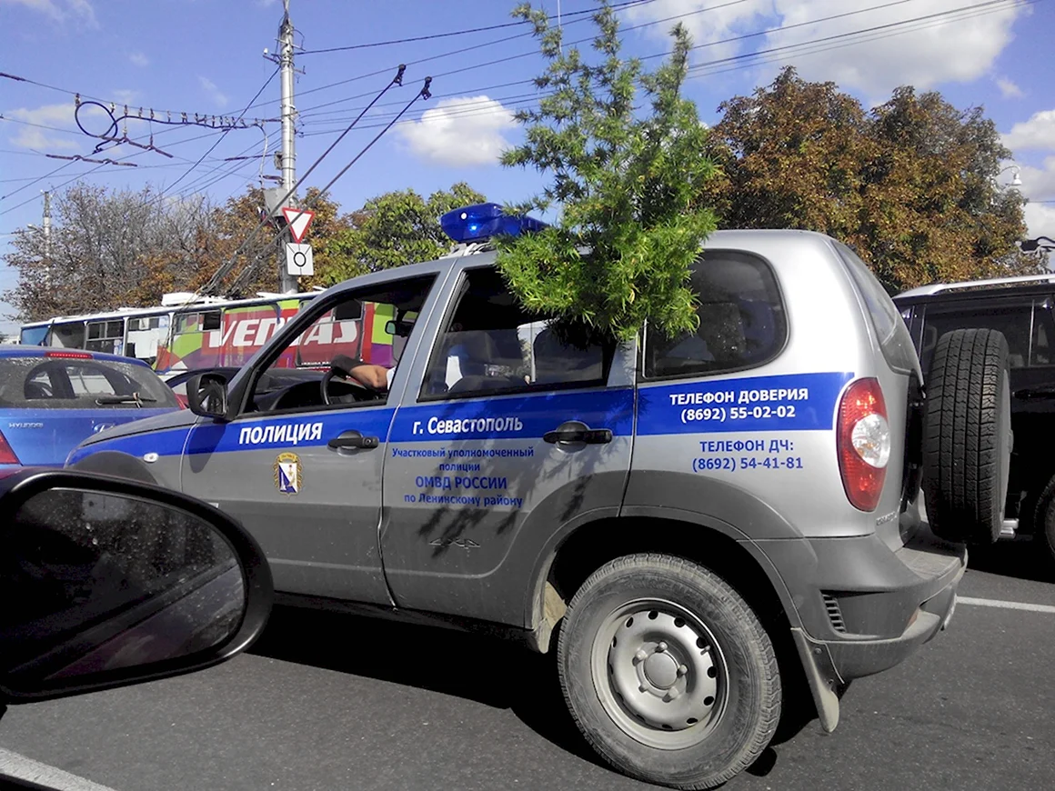 Полиция приколы