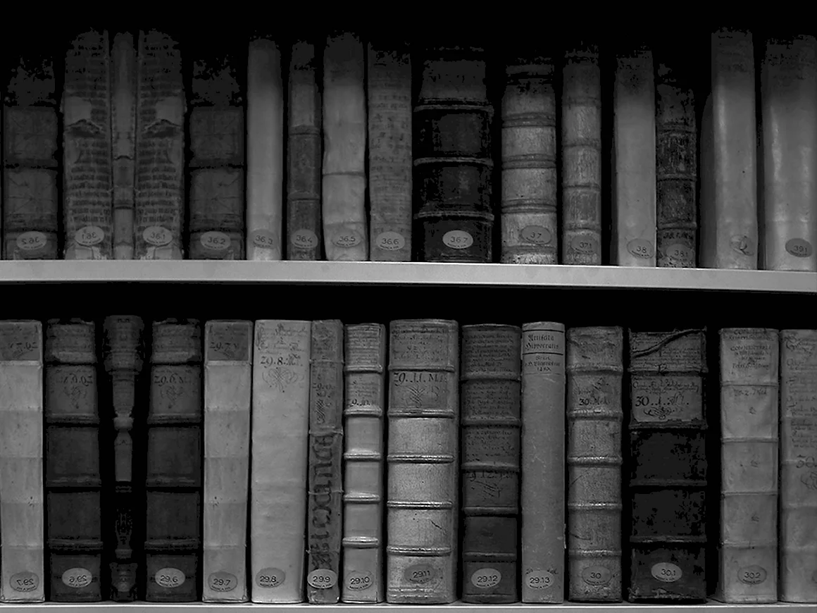 Полка для книг