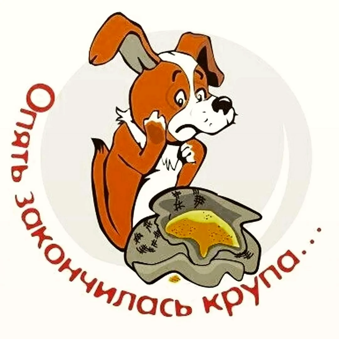 Помогите на корм животным