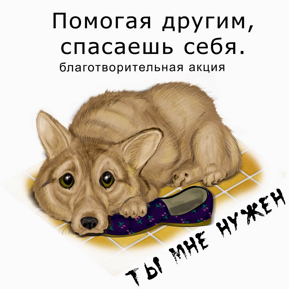Помощь животным