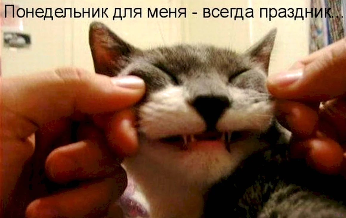 Понедельник день веселый