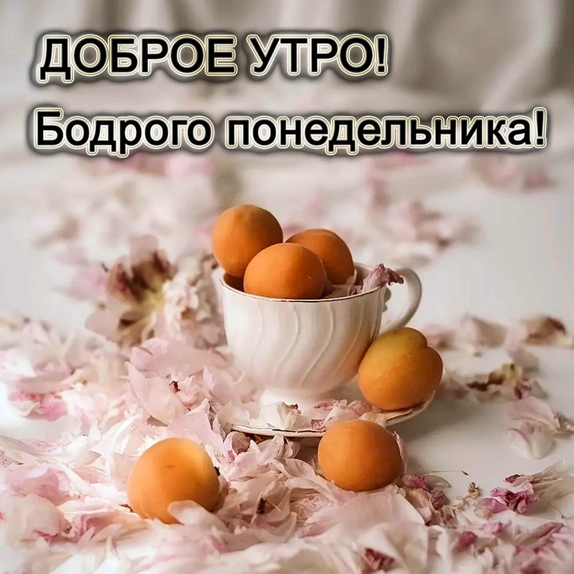 Понедельник доброе утро и хорошего дня недели