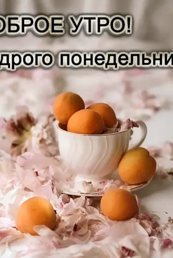 Понедельник доброе утро и хорошего дня недели