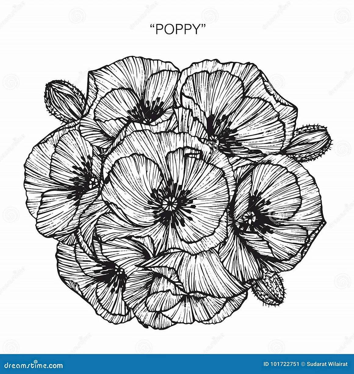 Poppy Графика