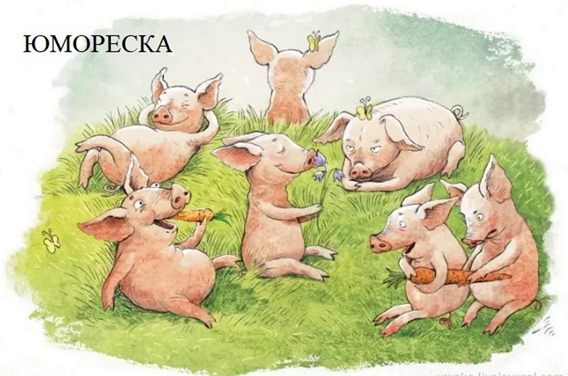 Поросенок иллюстрация