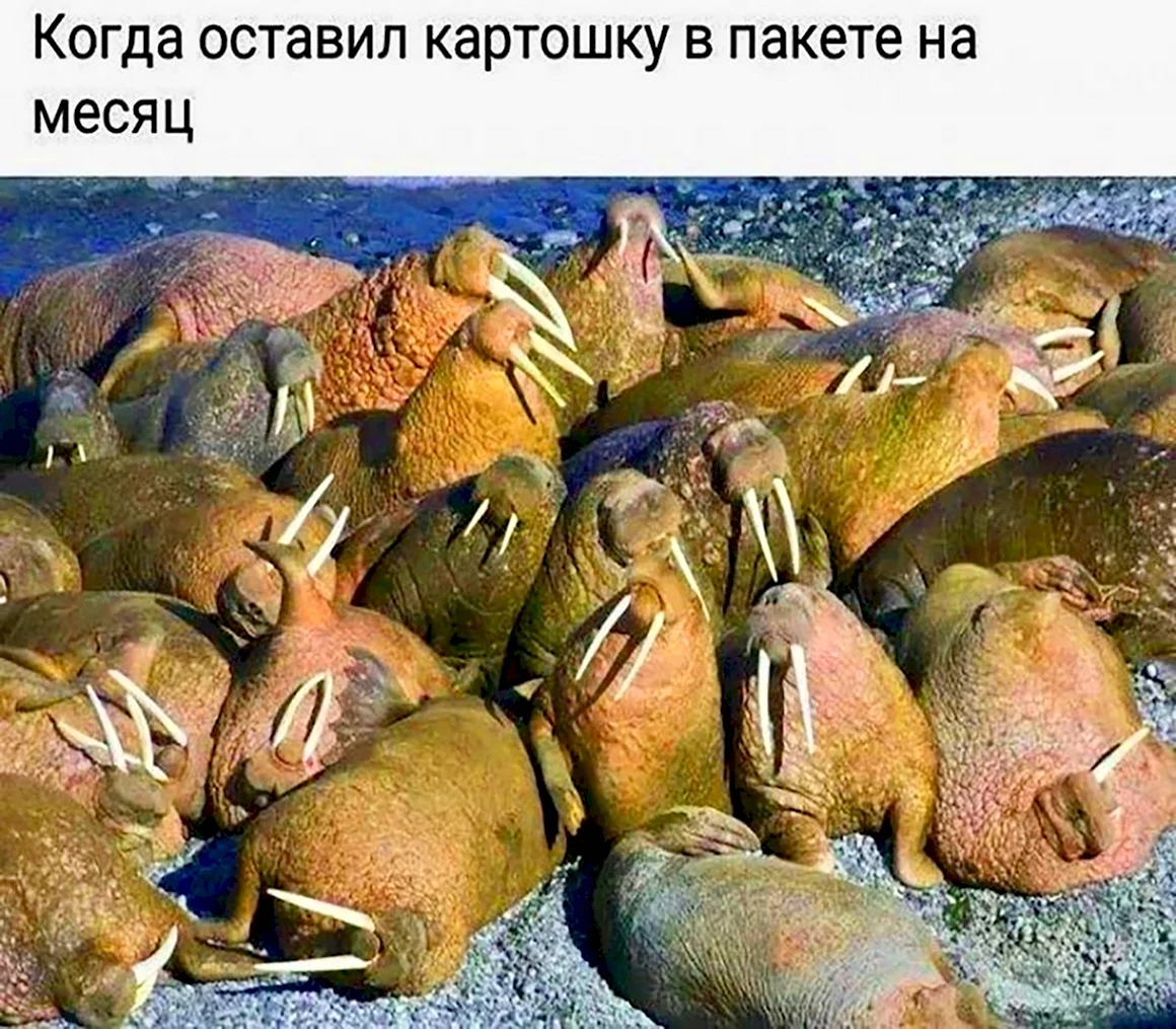 Последний день лета юмор