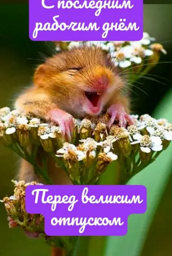 Последний день перед отпуском
