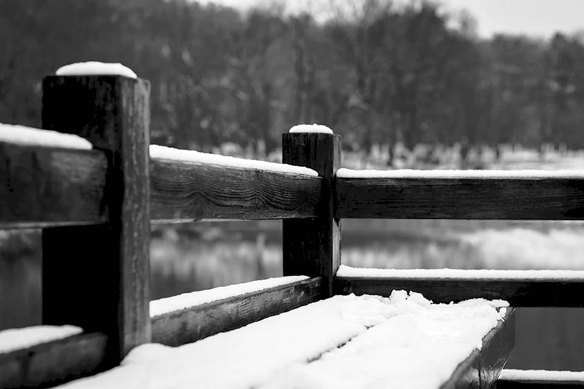 Постеры черно-белые снег