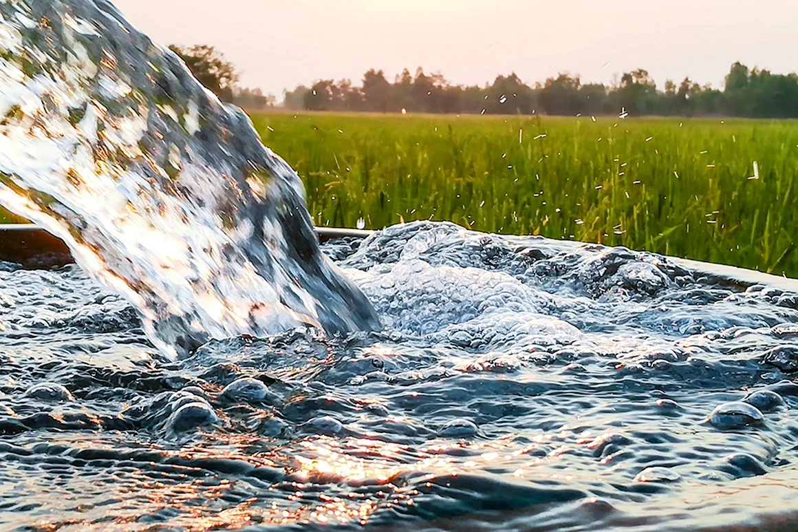 Поверхностные воды