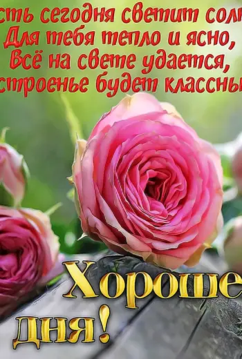 Поздравление с хорошим днем