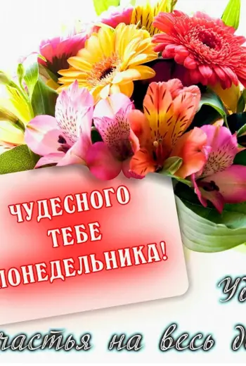 Поздравление с понедельником