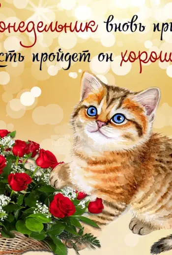 Поздравление с понедельником