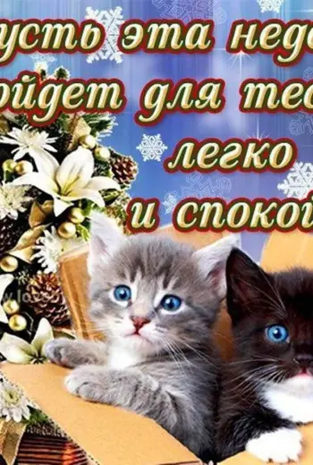 Поздравление с понедельником
