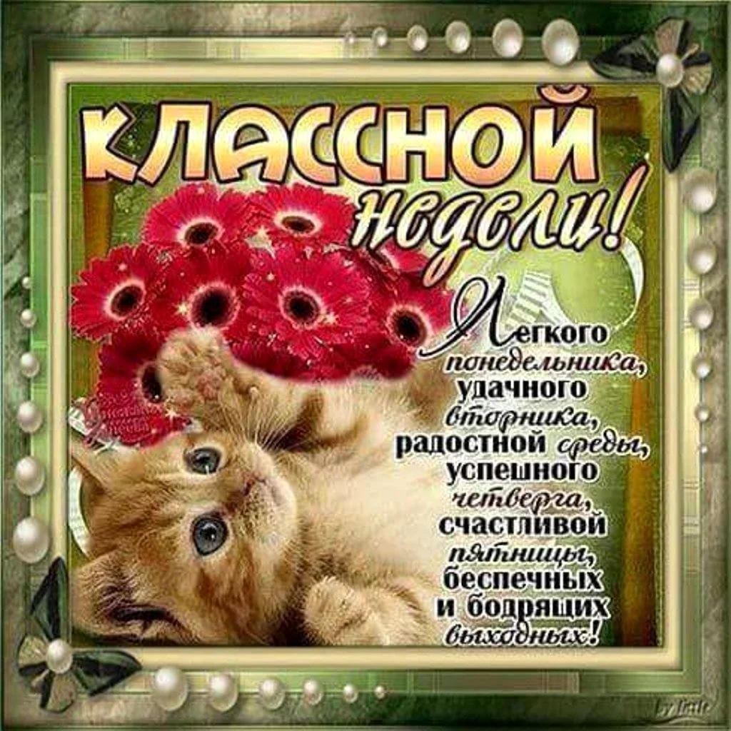 Поздравление с понедельником