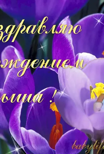 Поздравление с рождением сына