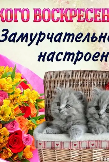 Поздравление с воскресеньем