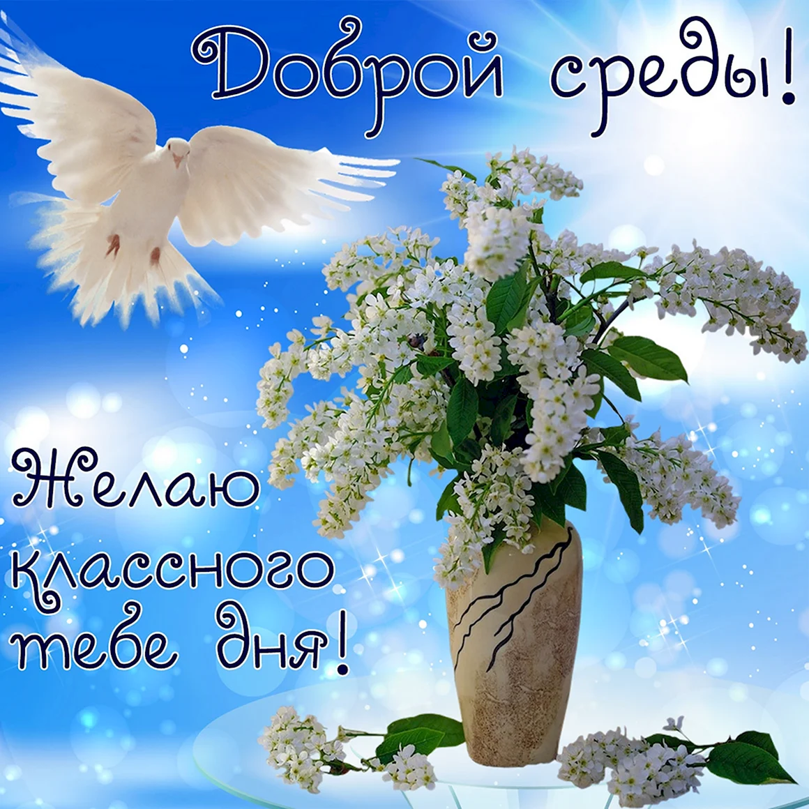 Поздравление со средой