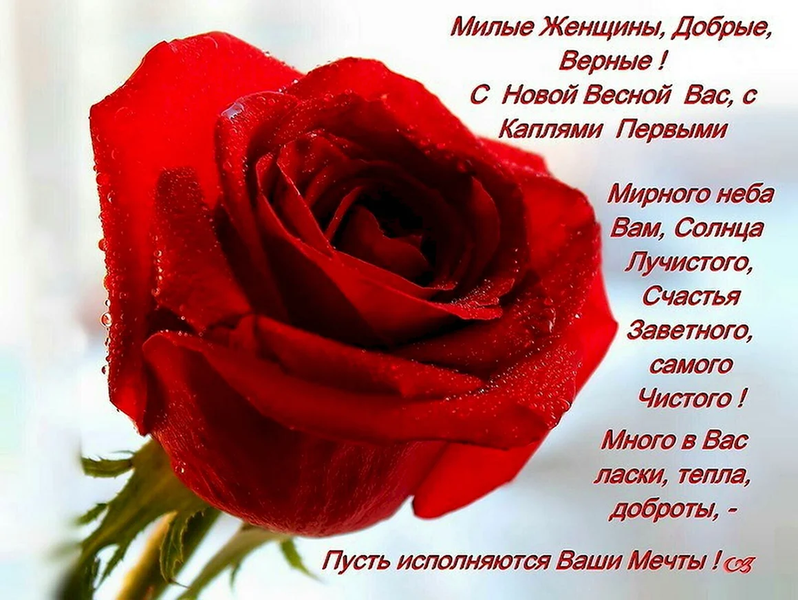 Поздравления для любимых женщин