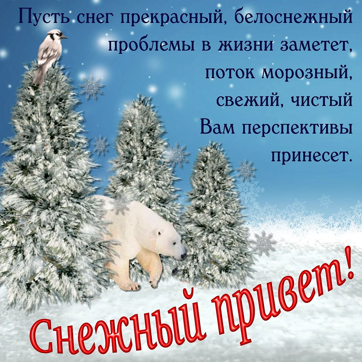 Поздравления на снегу