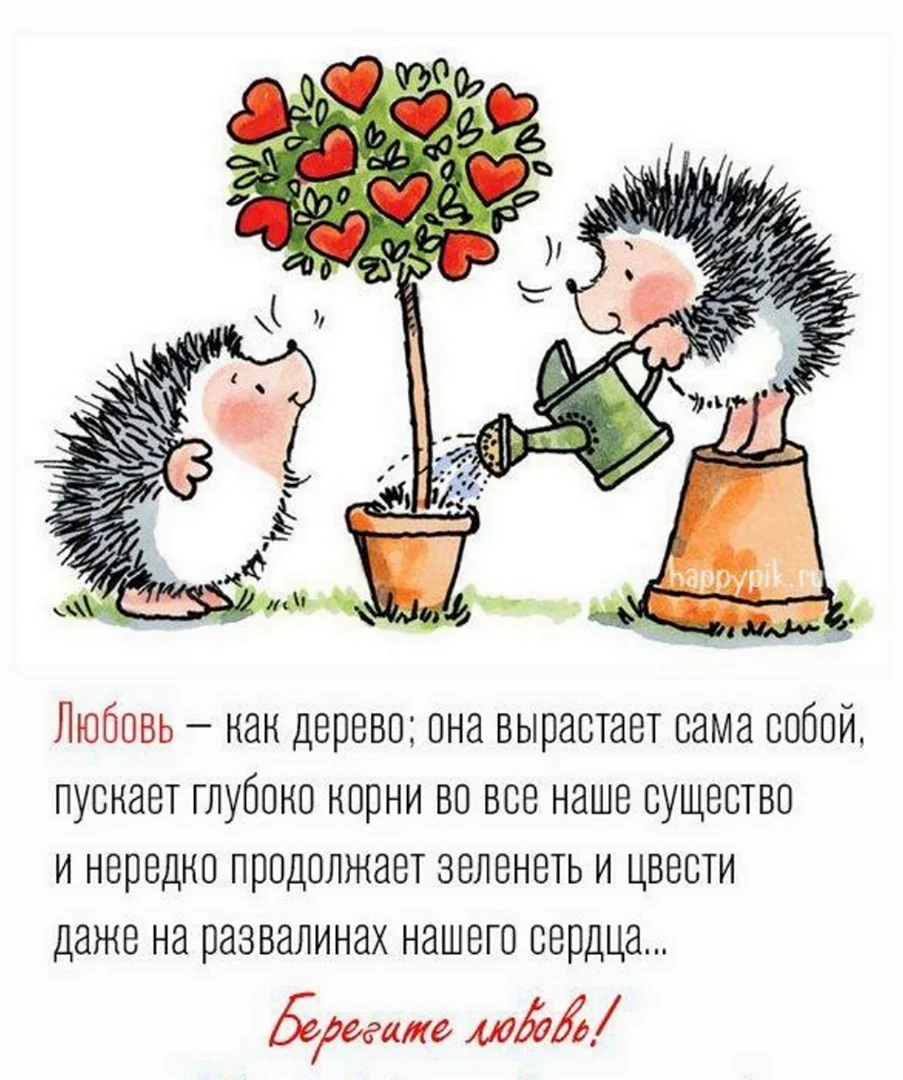 Поздравления с днём ежика