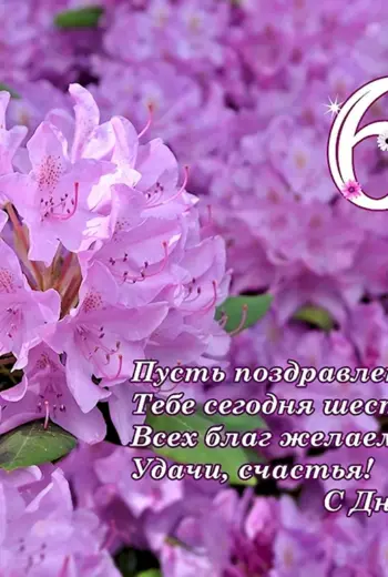 Поздравления с днём рождения 60 лет