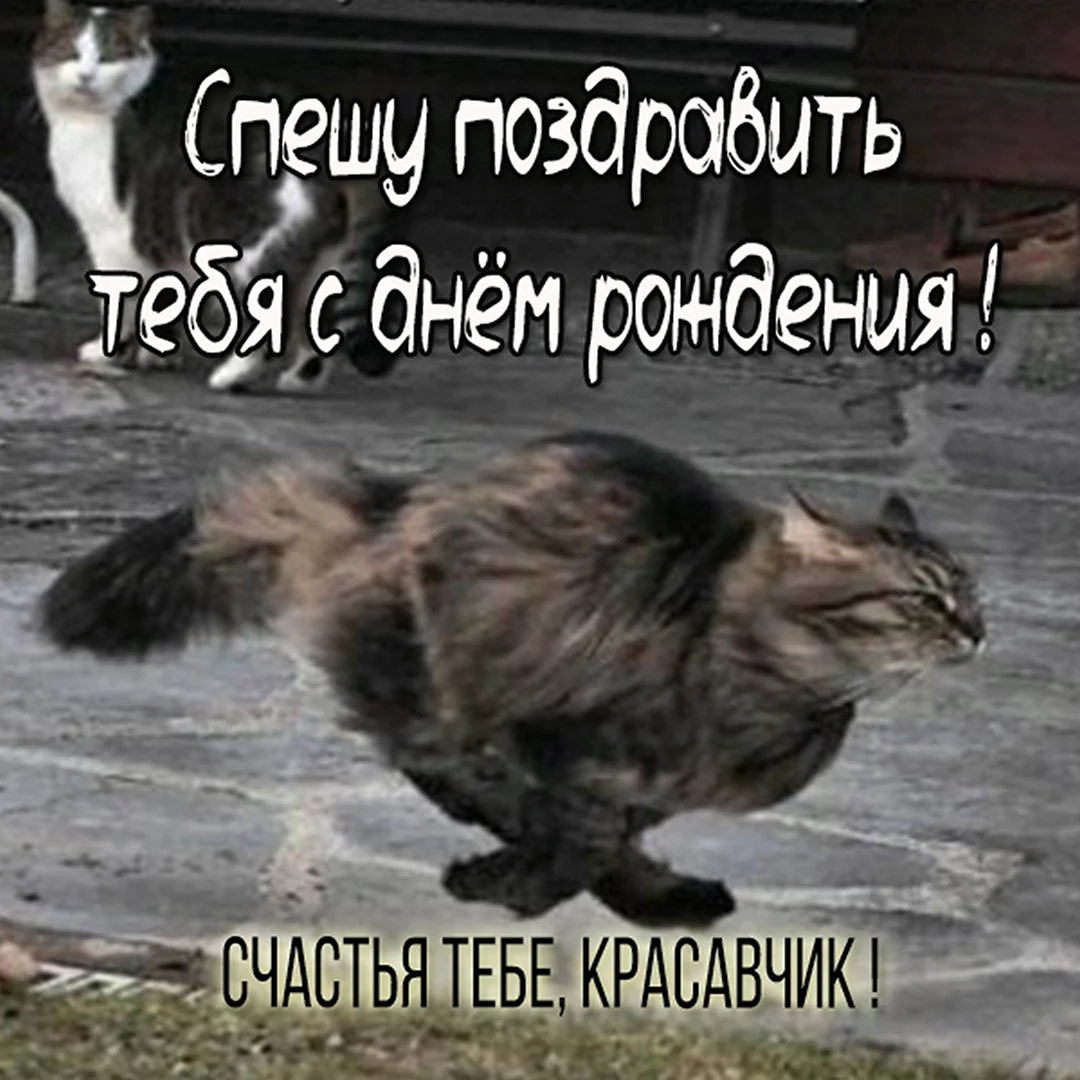 Поздравления с днём рождения Тамаре прикольные