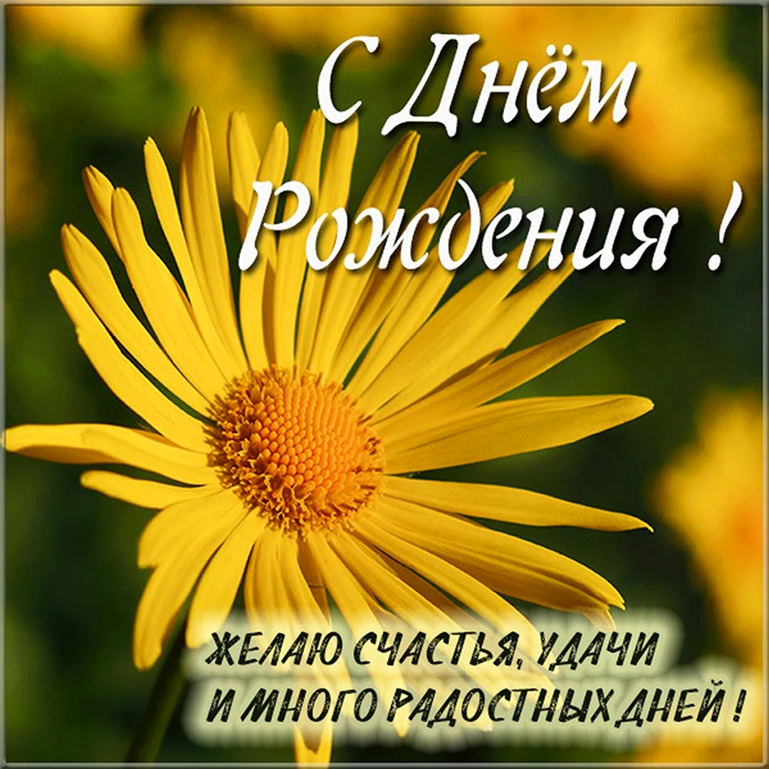 Поздравления с днём рождения золовке