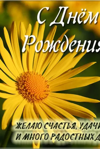Поздравления с днём рождения золовке