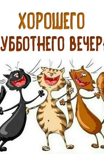 Поздравления с добрым вечером прикольные