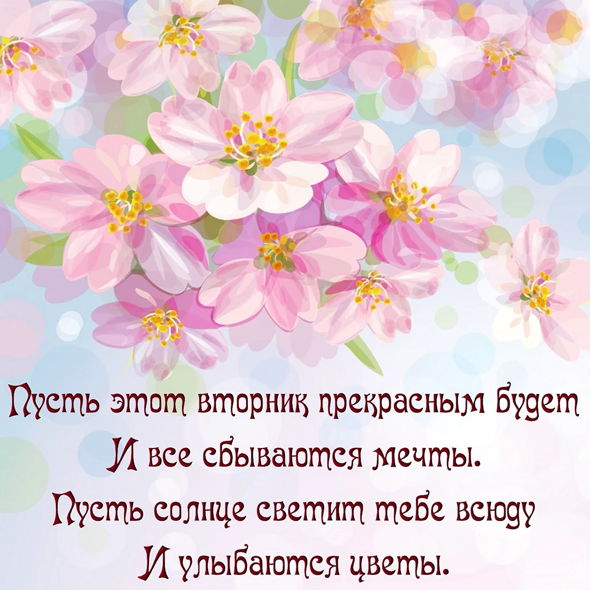 Поздравления со вторником