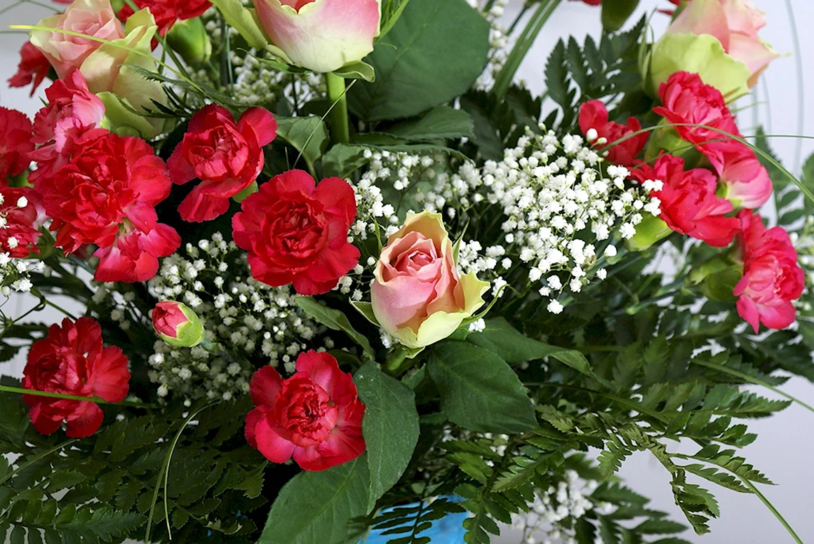 Поздравляю Цветок