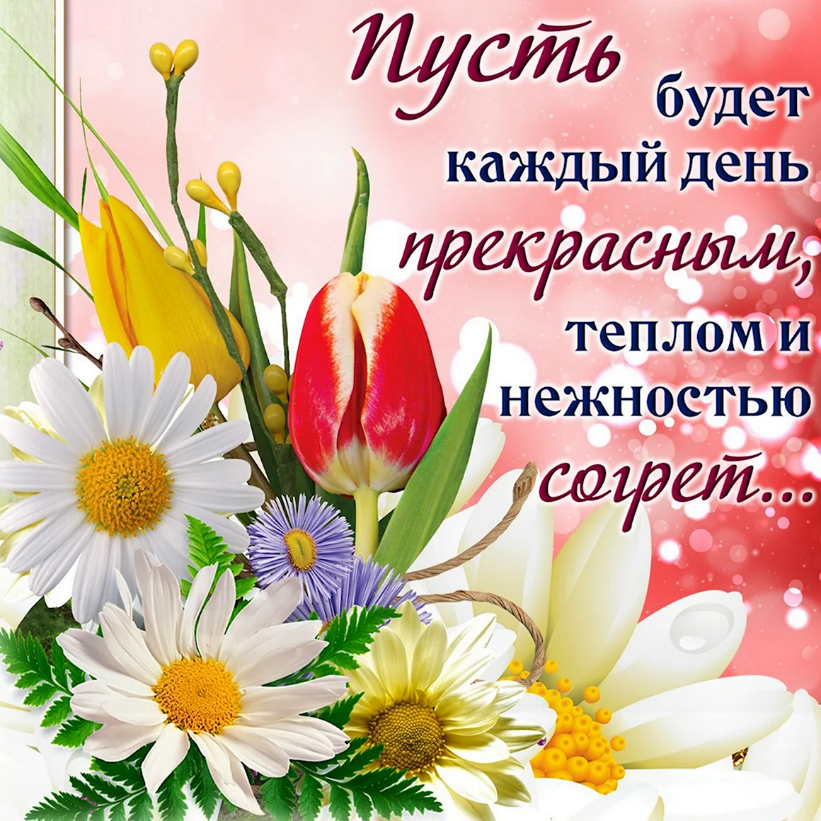 Пожелания