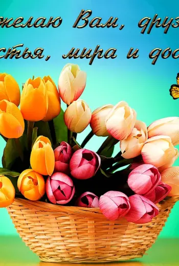 Пожелания добра
